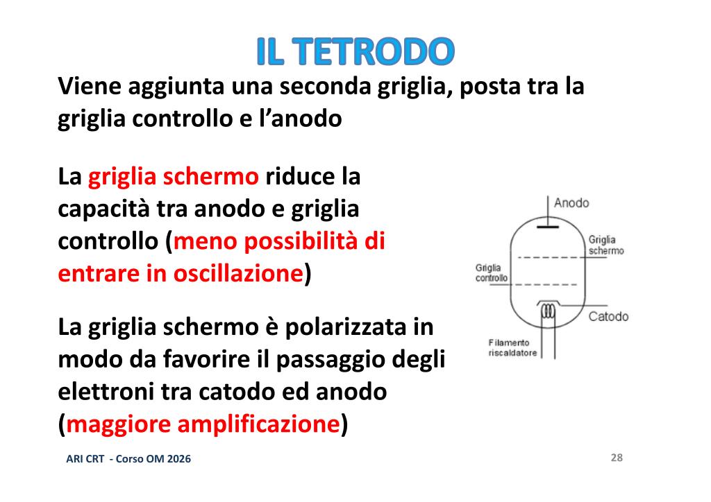 Tetrodo